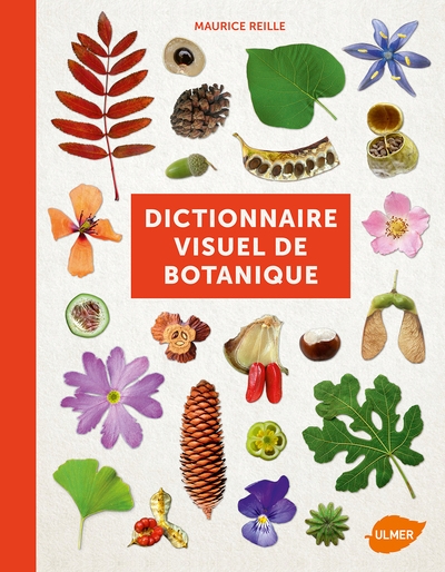 Dictionnaire visuel de botanique - Image principale