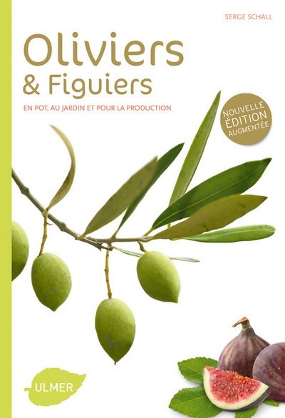 Oliviers et figuiers (ne). en pot, en jardin et pour la production - Image principale