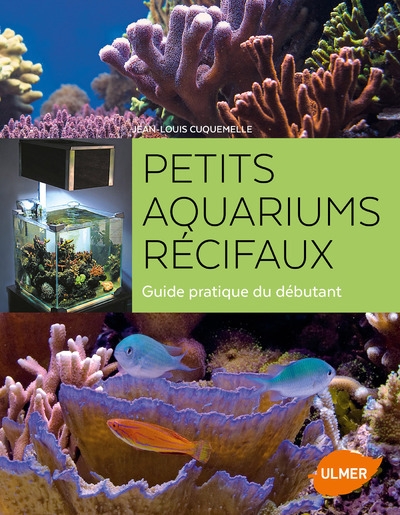 Petits aquariums récifaux - Image principale