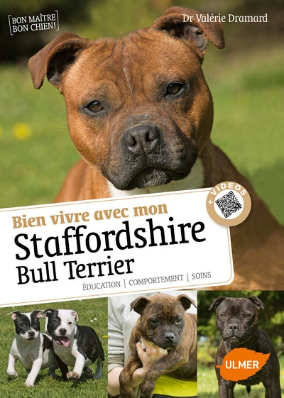 Bien vivre avec mon staffordshire bull terrier + vidéos - Image principale