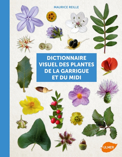 Dictionnaire visuel des plantes de la garrigue et - Image principale