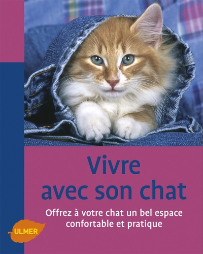 Vivre avec un chat.comment aménager la maison pour son bien-être - Image principale