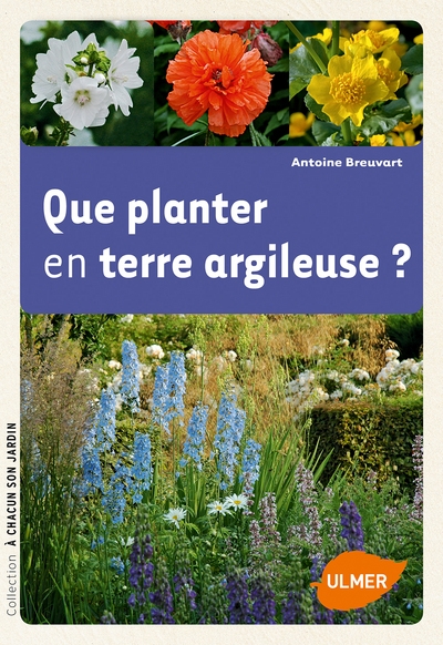 Que planter en terre argileuse ? - Image principale