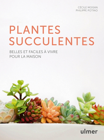 Les plantes succulentes - belles et faciles à vivre pour la maison - Image principale