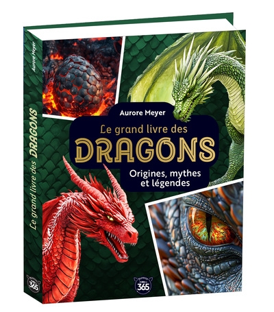 Mon grand livre des dragons - Image principale