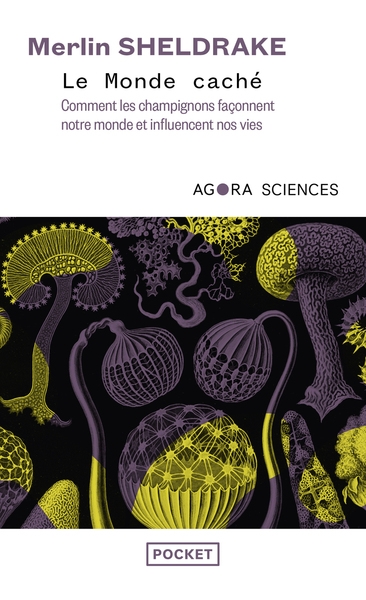 Le monde caché - comment les champignons façonnent notre monde et influencent nos vies - Image principale