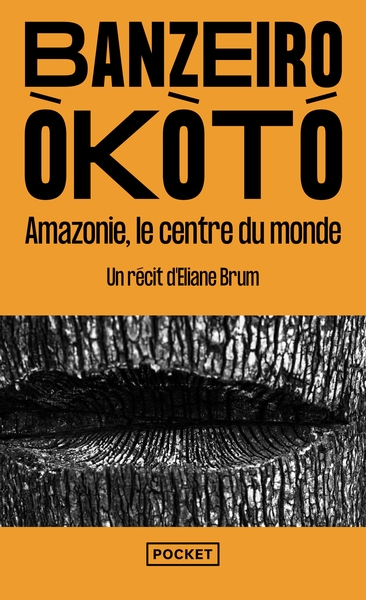 Banzeiro òkòtó - amazonie, le centre du monde - Image principale