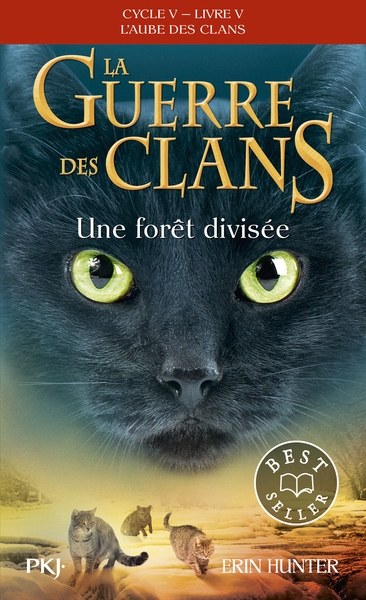La guerre des clans - cycle v : l'aube des clans - tome 5 une forêt divisée -poche- - Image principale