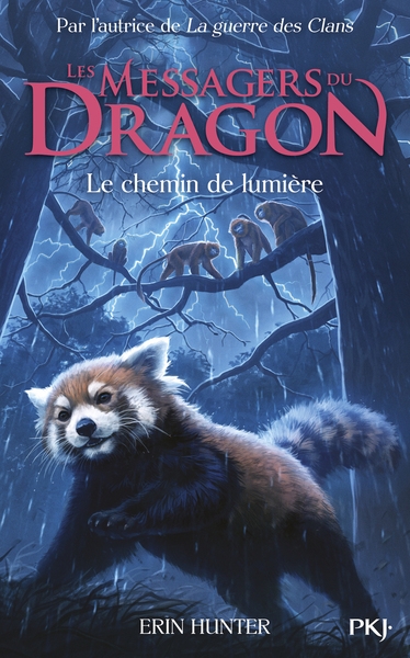 Les messagers du dragon cycle 1 - tome 5 le chemin de lumière - Image principale