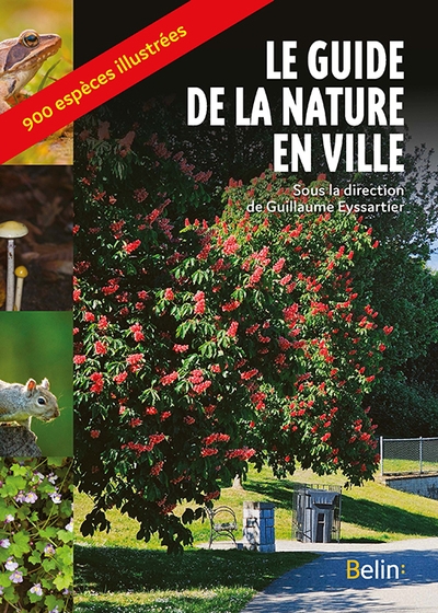 Le guide de la nature en ville - Image principale