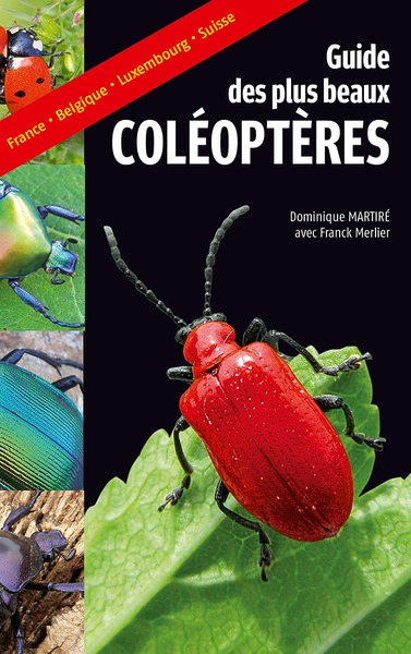 Guide des plus beaux coléoptères - Image principale