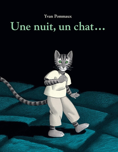 Une nuit, un chat... - Image principale