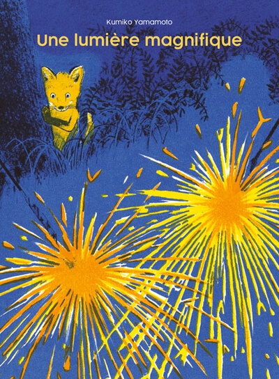 Une lumière magnifique - Image principale