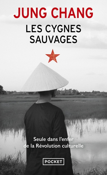 Les cygnes sauvages - Image principale