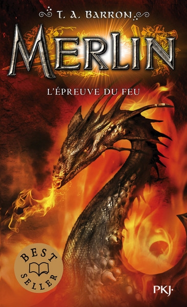 Merlin - tome 3 l'épreuve du feu - Image principale