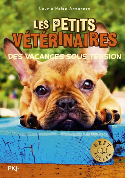 Les petits vétérinaires - tome 24 des vacances sous tension - Image principale