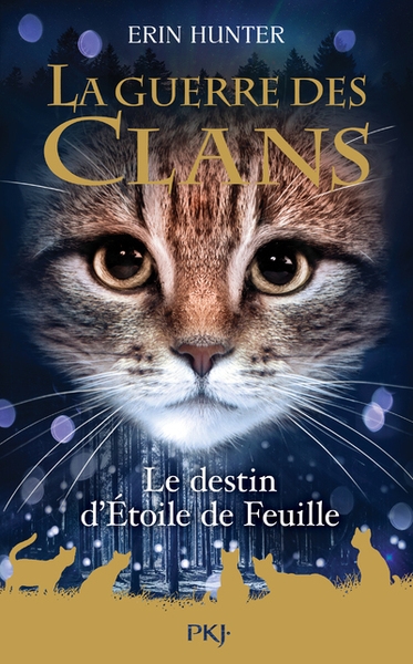 Guerre des clans hs - tome 7 le destin d'etoile de feuille - Image principale