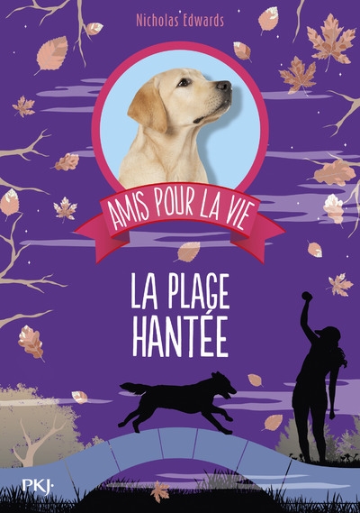 Amis pour la vie - tome 3 la plage hantée - Image principale