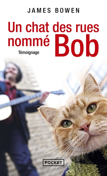 Un chat des rues nommé bob - Image principale