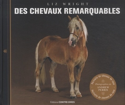 Des chevaux remarquables - Image principale