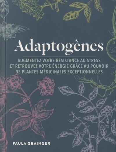 Adaptogènes - Image principale