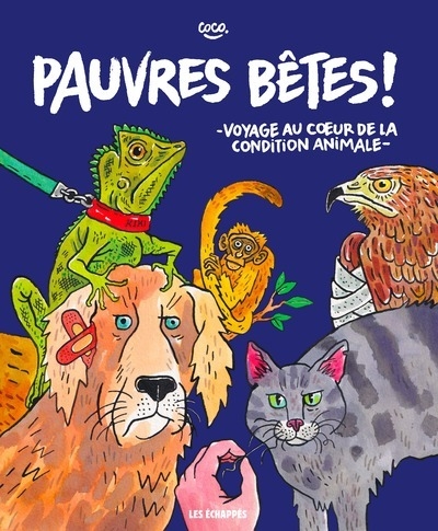 Pauvres bêtes ! - voyage au coeur de la condition animale - Image principale