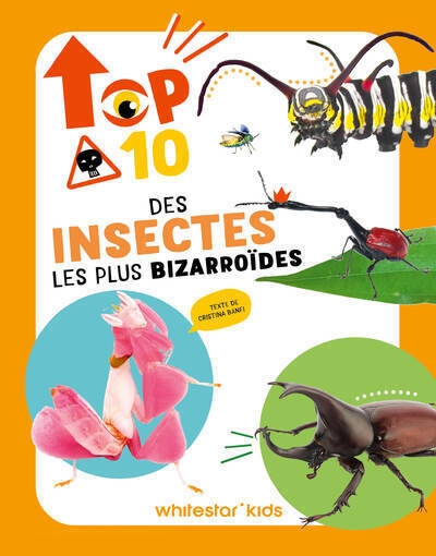 Top 10 des insectes les plus bizarroïdes - Image principale