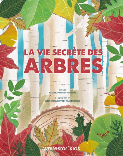 La vie secrète des arbres - Image principale