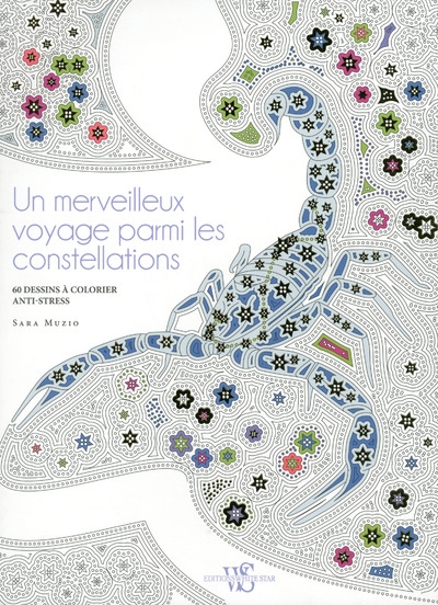 Un merveilleux voyage parmi les constellations - Image principale