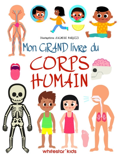Mon grand livre du corps humain - Image principale