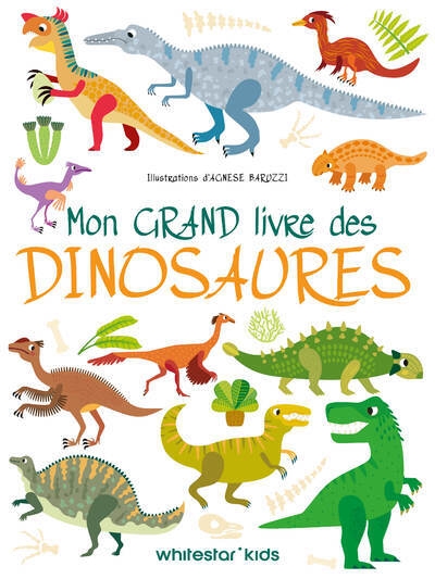 Mon grand livre des dinosaures - Image principale