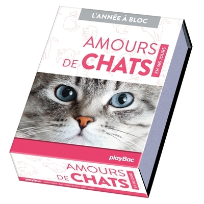 Calendrier amours de chats en 365 jours - année à bloc - Image principale