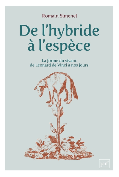 De l'hybride à l'espèce - Image principale