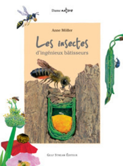 Les insectes d'ingénieux batisseurs - Image principale