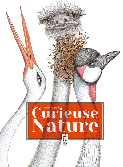 Curieuse nature - Image principale