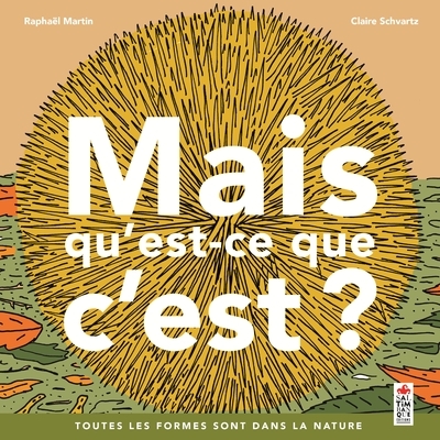 Mais qu'est-ce que c'est ? - Image principale