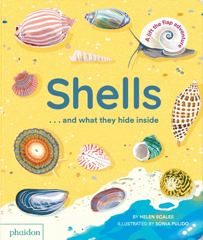 Shells... and what they hide inside ! - Image principale