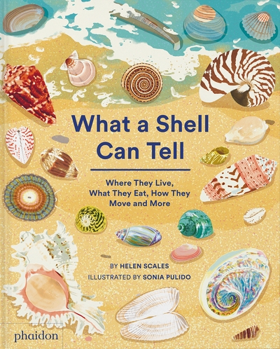 What a shell can tell - Image principale
