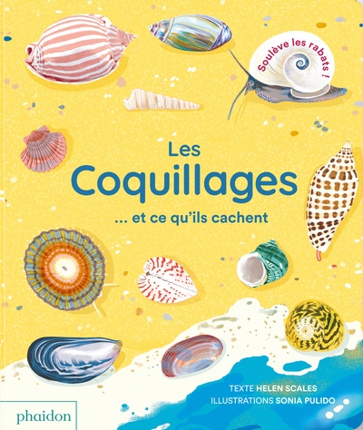 Les coquillages... et ce qu'ils cachent - Image principale