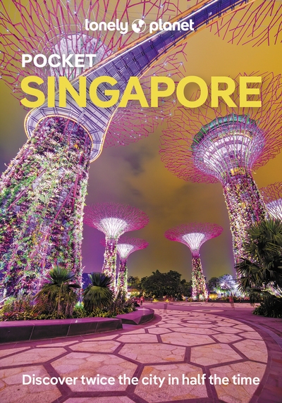 Pocket singapore 8ed -anglais- - Image principale
