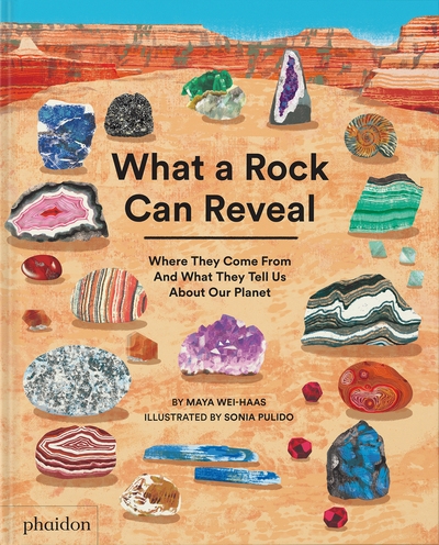 What a rock can reveal - Image principale