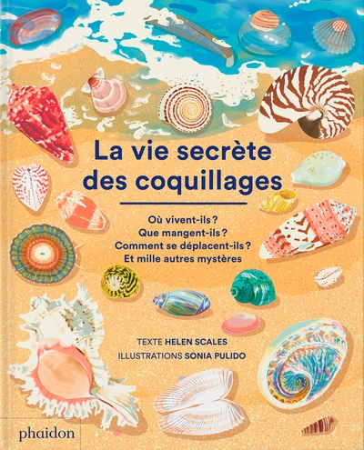 La vie secrète des coquillages - Image principale