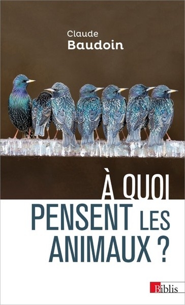 A quoi pensent les animaux ? - Image principale