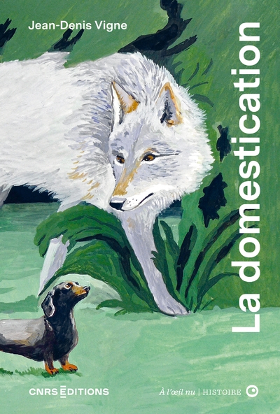La domestication à l'oeil nu - Image principale