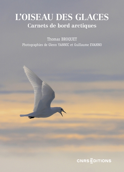 L'oiseau des glaces. carnets de bord arctiques - Image principale