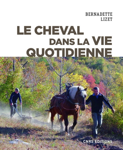 Le cheval dans la vie quotidienne - Image principale