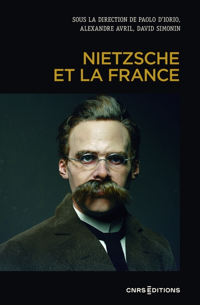 Nietzsche et la france - Image principale