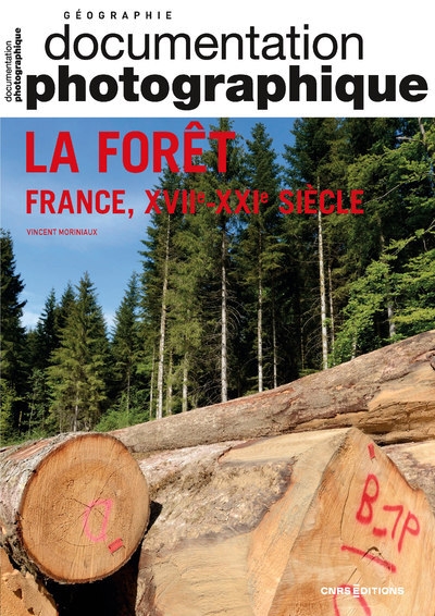 La forêt - france, xviie-xxie siècle dp numéro 8150 - Image principale