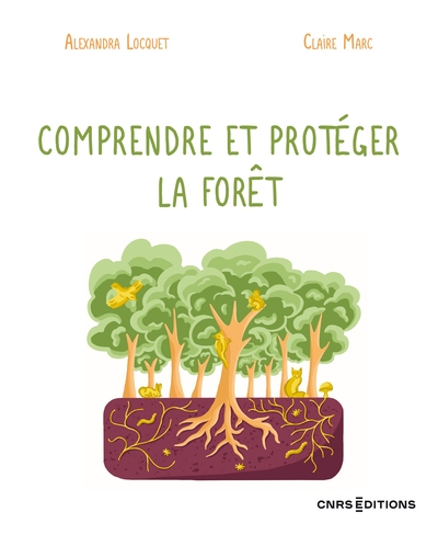 Comprendre et protéger la forêt - Image principale