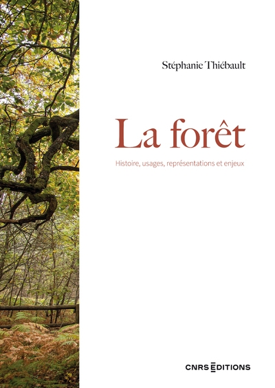 La forêt - histoire, usages, représentations et enjeux - Image principale